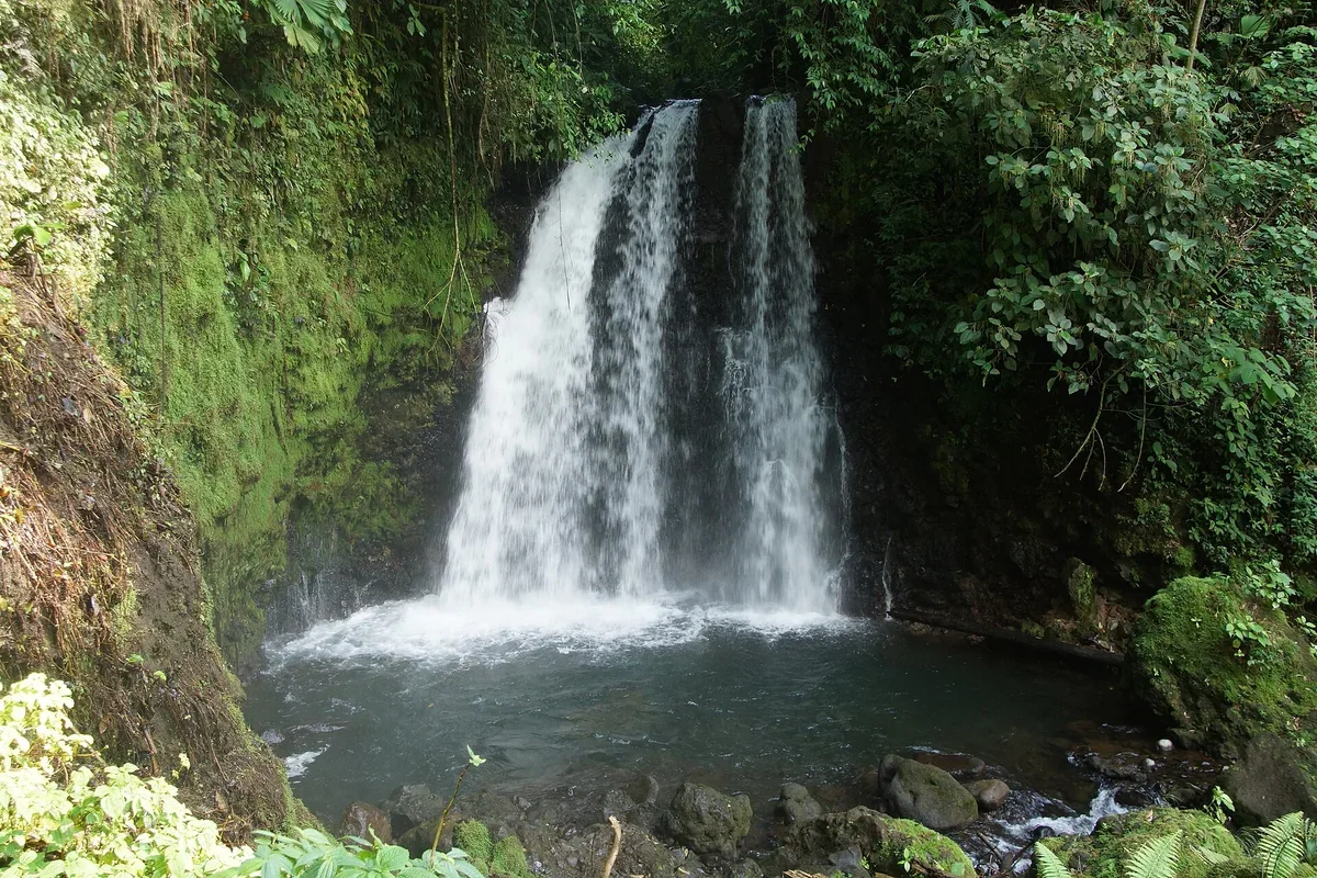La Fortuna Waterfall, Hanging Bridges & Arenal Volcano Combo