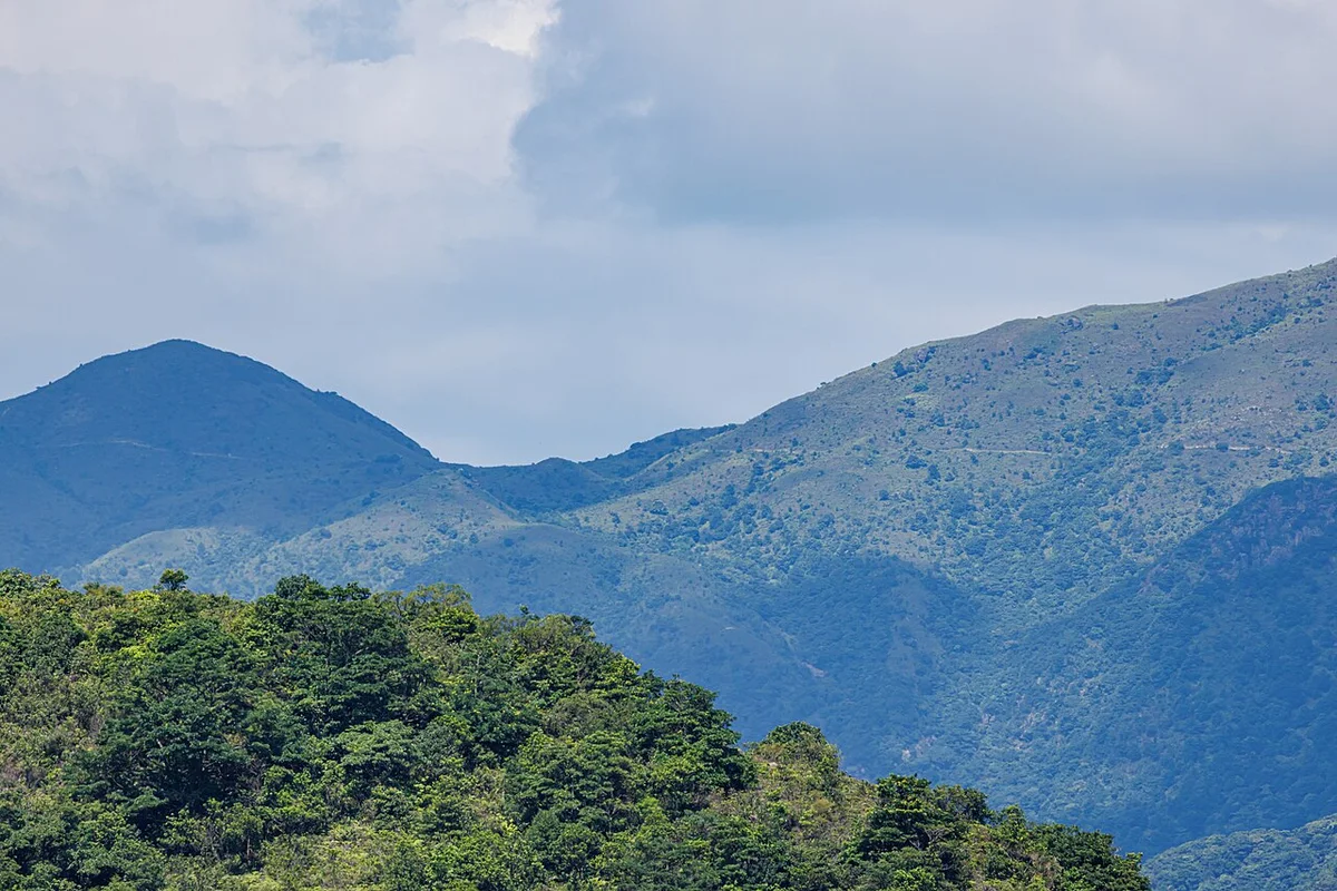 Lantau Island Cable Car, Big Buddha, Monastery & Tai O Fishing Village